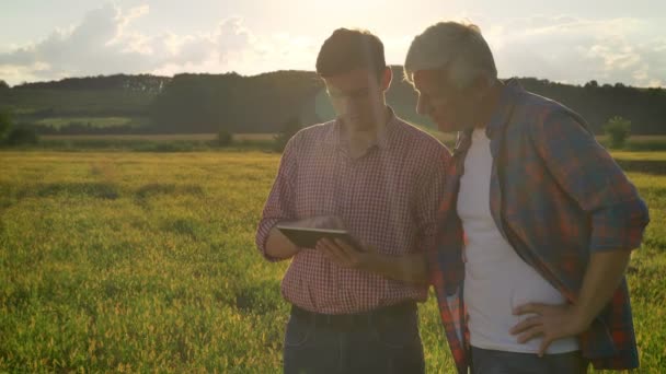Молодой человек объясняет пожилому фермеру и держит планшет, стоя на красивом пшеничном поле во время заката, счастливый и веселый — стоковое видео