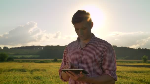 Молодий впевнений агроном тримає планшет і дивиться на пшеничне поле навколо, красива природа з заходом сонця на задньому плані — стокове відео