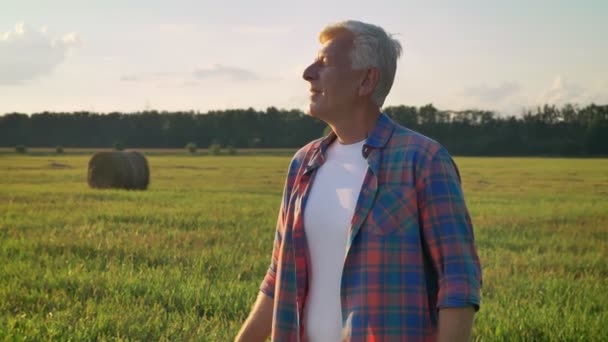 Счастливый старый агроном стоит на соломенном поле и смотрит на свою землю, красивая сельская местность на заднем плане — стоковое видео