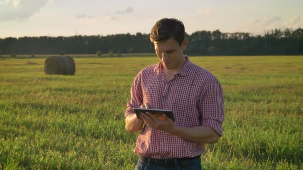 Hombre seguro de éxito en la camisa escribiendo en la tableta y mirando a su alrededor en el campo de paja, de pie en la tierra cultivada durante la puesta del sol en el fondo — Vídeo de stock