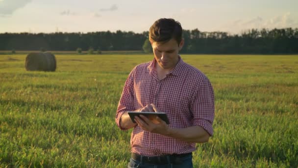 Успешный уверенный молодой человек в рубашке печатает на планшете и стоит на соломенном поле, оглядываясь вокруг, красивый вид на заднем плане — стоковое видео