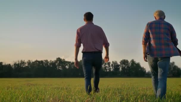 Vista posteriore di figlio adulto e vecchio padre che cammina sul campo di paglia o segale, fattoria agricola del raccolto, due uomini che vanno via, tramonto — Video Stock