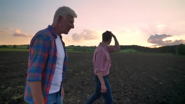 Vista lateral do pai velho e filho adulto andando no campo cultivado, bela paisagem com pôr do sol no fundo — Vídeo de Stock