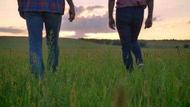 Geri görüntülemek eski adam çekip buğday ya da çavdar alanda, ısmarlayarak arazi arka planda günbatımı sırasında yetişkin oğlu ile