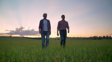 Eski baba yetişkin yakışıklı oğlu ve arka planda gün batımı ile konuşuyor, gülüyor, buğday veya çavdar alan ile yürüyüş