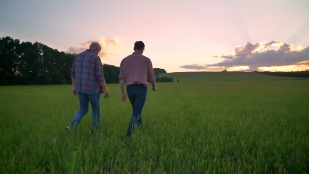 Terug bekijken van oude vader lopen samen met volwassen zoon op tarwe of rogge veld, prachtige natuur tijdens zonsondergang op achtergrond — Stockvideo