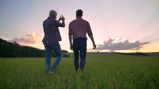 Back view of old father talking with his adult son and walking together on wheat field, beautiful sunset in background — Stock Video