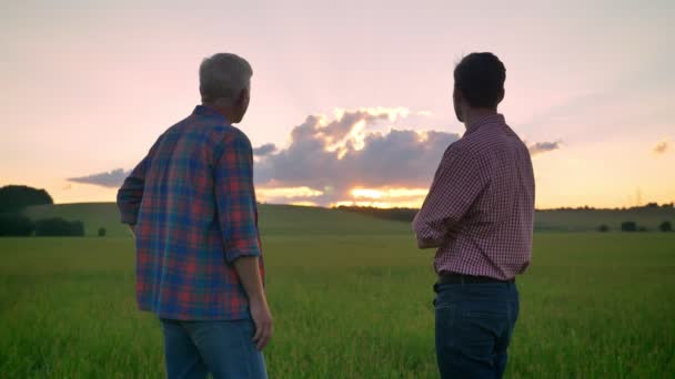 Pohled zezadu starých otec stojí s dospělého syna a sledovat západ slunce nad pšeničné nebo žitné pole, krásná příroda — Stock video