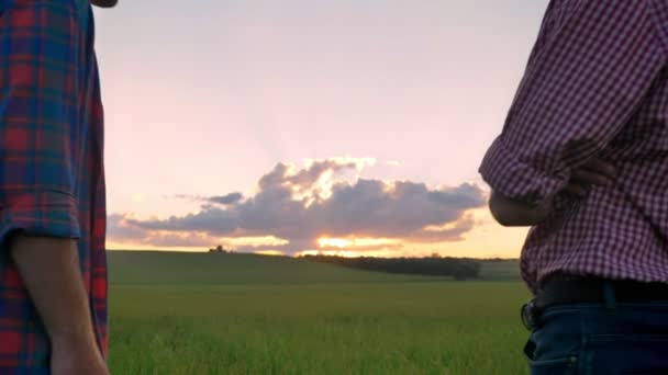 Vista trasera del viejo padre de pie junto con su hijo adulto y viendo la hermosa puesta de sol — Vídeos de Stock