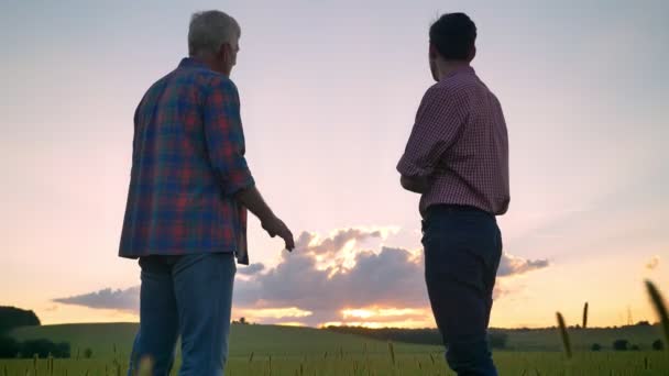 Movimiento de tiro de papá viejo viendo hermosa puesta de sol con su hijo adulto, de pie juntos en el trigo o el campo de centeno — Vídeos de Stock