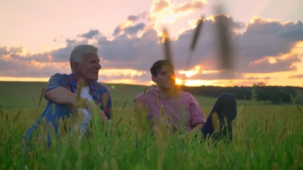 Öreg apa ül a búza és a rozs mező és nyugodt, gyönyörű kilátás a természet háttérben naplemente alatt felnőtt fiával — Stock videók