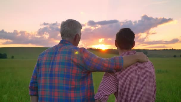 Achteraanzicht van vader omhelst volwassen zoon en kijken prachtige zonsondergang, staande op tarwe of rogge veld — Stockvideo