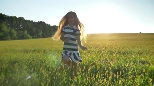 Hijita feliz con el pelo largo y rubio corriendo y abrazando a su madre, sonriente, hermoso campo de trigo durante el atardecer en el fondo — Vídeos de Stock