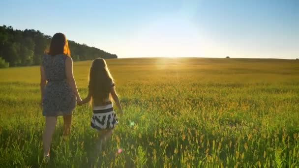 Baksidan på mor och dotter höll händer och gå framåt, vackra vetefält under solnedgången i bakgrunden — Stockvideo