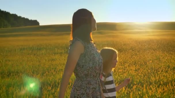Молодая мама ходит с маленькой блондинкой дочери и держит за руки, глядя на закат, прекрасный вид на пшеницу или ржаное поле — стоковое видео