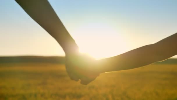 Close footage of hands in wheat or rye field with sunset in background mãe e filha com longos cabelos loiros de mãos dadas — Vídeo de Stock