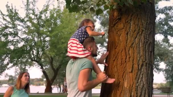 Junge Familie geht im Sommer im Park spazieren, Mädchen sitzt auf den Schultern des Vaters und zupft Blatt — Stockvideo