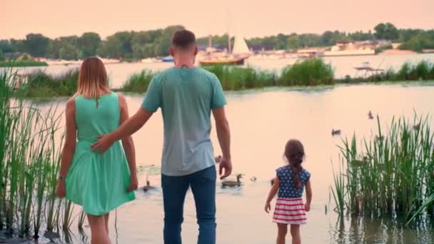 Silueta de la familia joven está caminando en el parque en verano, puesta de sol, viendo patos en el lago, concepto de la naturaleza — Vídeos de Stock