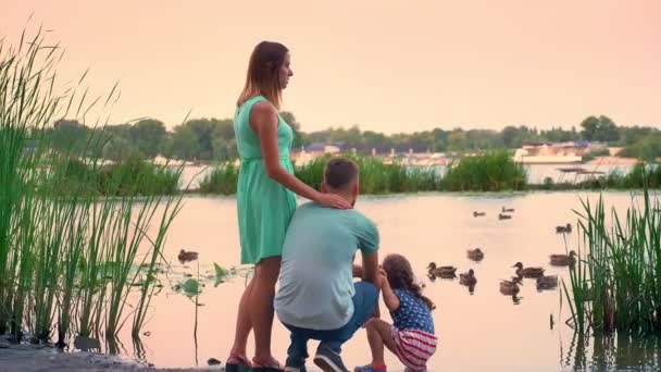 Silueta de la familia joven está caminando en el parque en verano, puesta de sol, viendo patos en el lago, concepto de la naturaleza, concepto de relax — Vídeo de stock