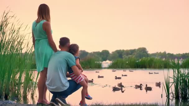 Silhouet van jonge gezin is wandelen in de zomer, zonsondergang, kijken naar eenden op meer begrip van de natuur, ontspan concept — Stockvideo