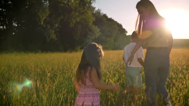 Silueta de la madre con los niños están caminando en el campo en verano, concepto de familia — Vídeo de stock