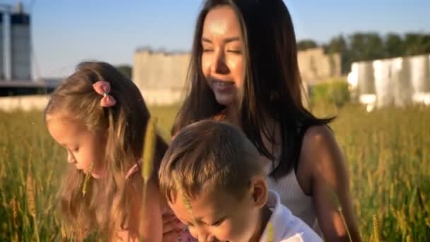 Matka z dziećmi idą w dziedzinie latem, siedząc w pszenicy, pojęcie rodziny — Wideo stockowe