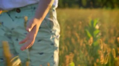 Asyalı çocuk alanında gündüz, yaz aylarında bitkiler, doğa kavramı dokunmadan yürüyor