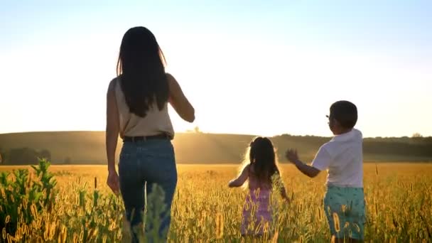 Silueta de la madre con los niños están caminando en el sol en el campo en verano, concepto de familia — Vídeos de Stock