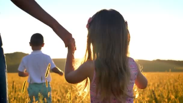 Силуэт матери с детьми ходят на солнце в поле летом, держа дочь за руку, семейная концепция — стоковое видео