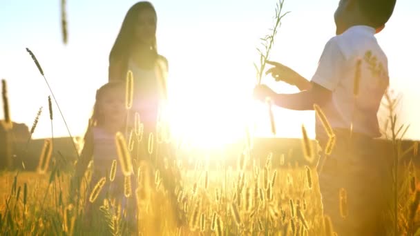 Asiatiska mamma med barn vandrar i fältet i sommar, son ger blomma till mamma, familjen koncept — Stockvideo