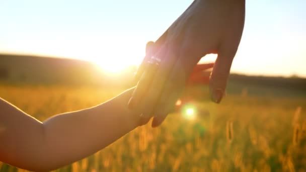 Мати йде з дочкою на полі влітку, тримає руки, сімейна концепція — стокове відео