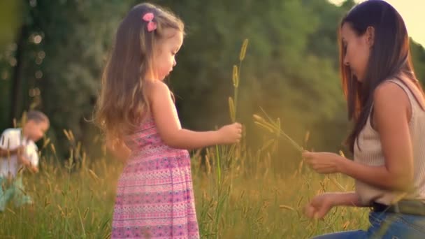 Glückliche asiatische Mutter mit Kindern spazieren im Sommer auf dem Feld, pflücken Getreide, Familienkonzept — Stockvideo