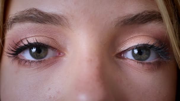 Blikat modré ženské oči, podívejte se do kamery, make-up,. — Stock video