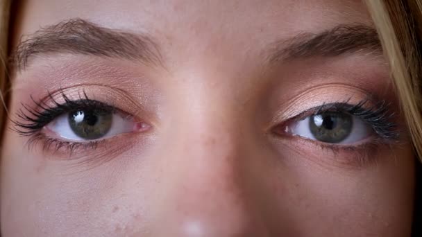 Yeux féminins bleus, regarder dans la caméra, maquillage, cligner des yeux . — Video