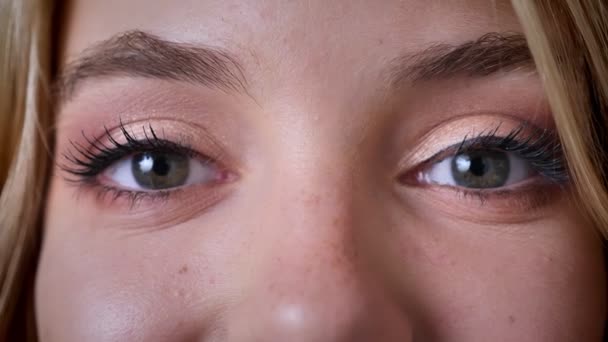 Yeux féminins gris, regarder dans la caméra, heureux, rire, maquillage, cligner des yeux . — Video