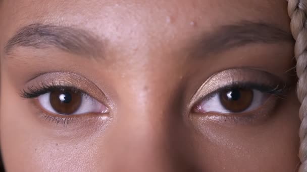 Brown eyes of an African girl with dreadlocks — Stock Video