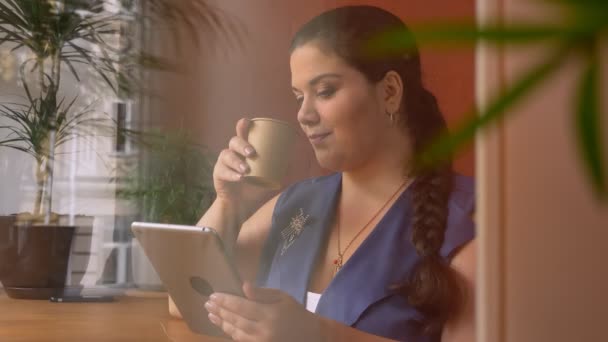 Παχύσαρκα Καυκάσιος χαριτωμένο κορίτσι κρατώντας το Κύπελλο και swiping σε συσκευή κοντά σε παράθυρο στο καφέ — Αρχείο Βίντεο