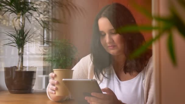 Planshet holding ve kafe penceresinde yakınındaki kahvesini içmeye ağır beyaz kadın — Stok video