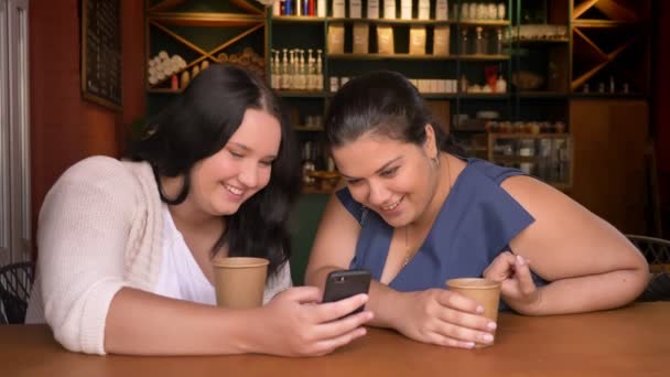 Толстые кавказские две подружки, глядя на смартфон и обсуждая с эмоциями с чашками кофе — стоковое видео