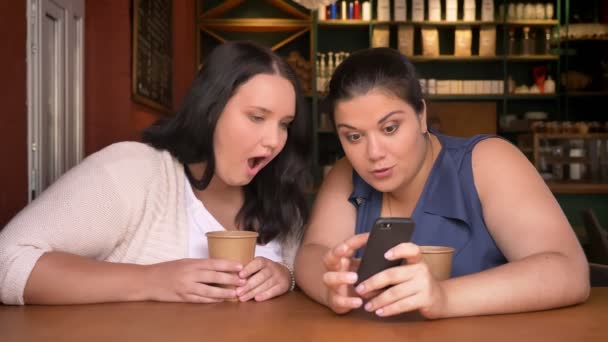 Duas grandes mulheres caucasianas surpreendentemente assistindo no celular indoor com duas xícaras de bebida — Vídeo de Stock