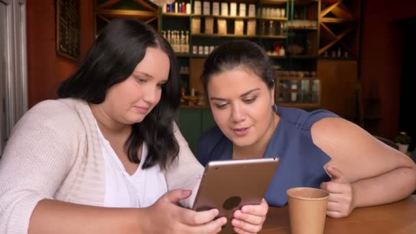 Zwaarlijvige Twee Vriendinnen Blik Smartphone Bespreken Met Emoties Café — Stockvideo