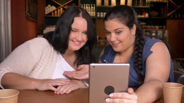 Zwei große süße kaukasische Freundinnen, die im Café sitzen und dasselbe Planschbecken anschauen und miteinander reden — Stockvideo