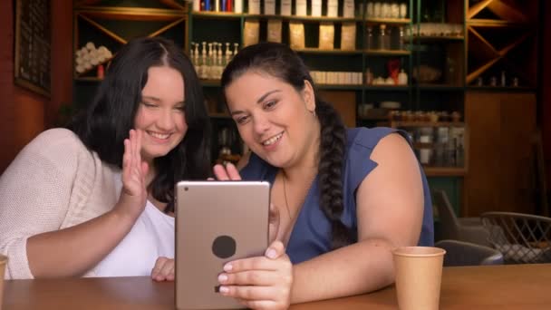 Dos chicas caucásicas jóvenes con sobrepeso saludando en una tableta y riendo mientras se sientan en el interior con una taza de café — Vídeos de Stock