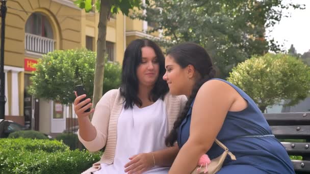 Två stora fina vita tjejer pratar chill och innehav smartphone på bänken utomhus — Stockvideo