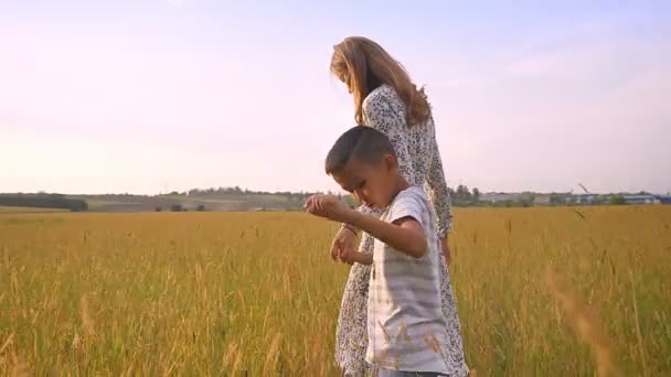 Asiatico figlio e la sua bella madre a piedi lungo su giallo campo teneramente tenendo loro mani — Video Stock