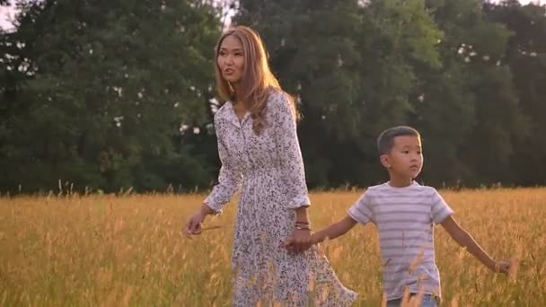 Belle mère asiatique tenant son fils et passant par le champ jaune dans la campagne — Video