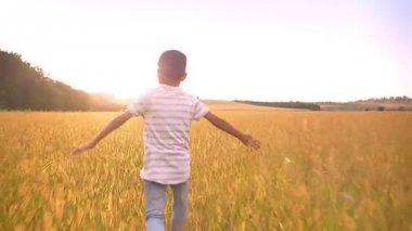 oynama ve dev buğday tarlada çalışan harika küçük Asya çocuk