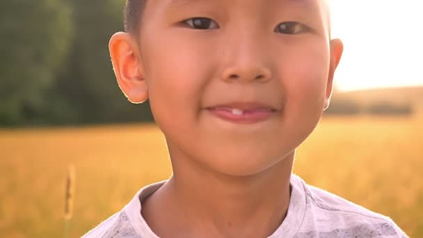 Ritratto di ragazzo asiatico felice guardando da vicino e sorridendo con godere sul tramonto in grande campo di grano — Video Stock