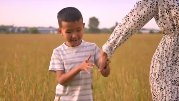 Precioso asiático chico ir paso a paso después de su tierna madre mientras sostiene su mano en el campo de trigo — Vídeos de Stock