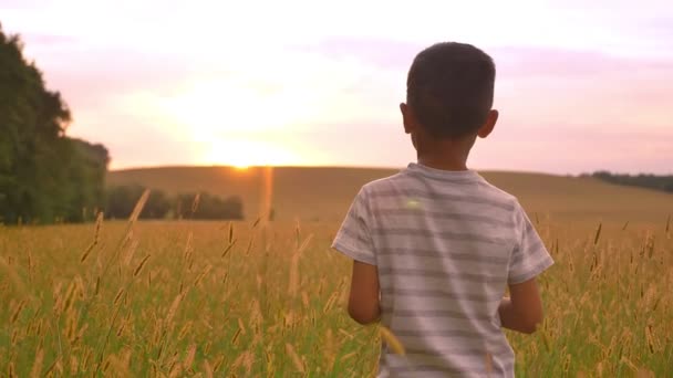 Gelukkig liefdevolle Aziatische moeder haar zoon omhelzen en kijken naar de zonsondergang op een geel veld — Stockvideo